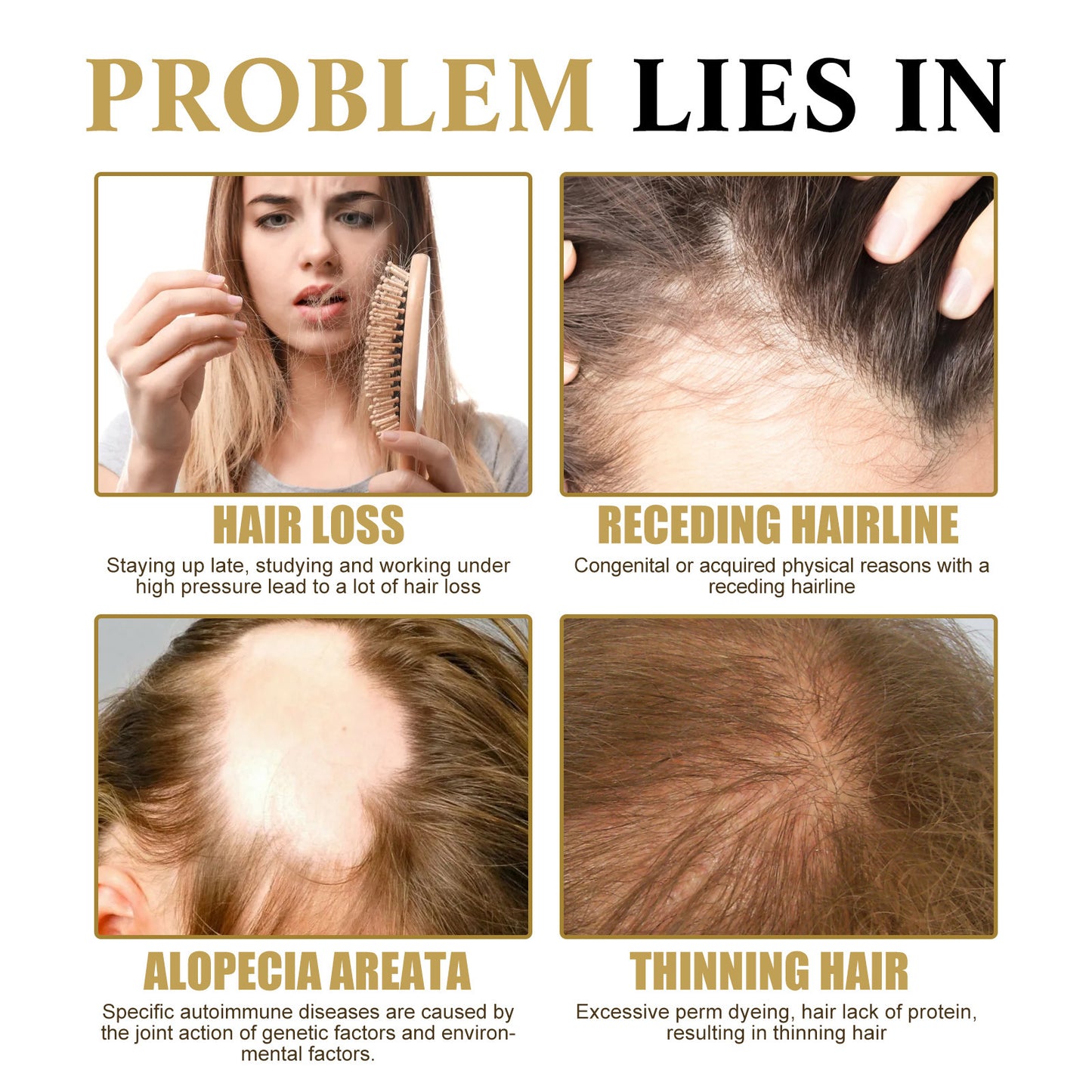 Ginseng Gentle Moisturizing Scalp Hair Massage Ball